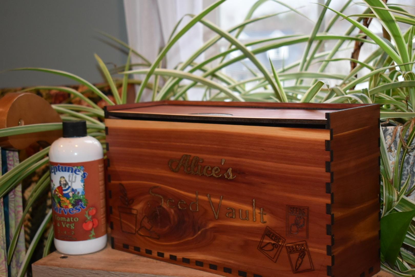 Personalized Cedar Seed Storage Box: Garden Organizer with Dividers